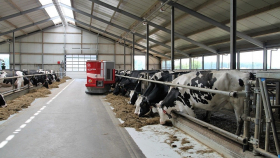 Минсельхоз резко увеличит субсидии молочникам и овощеводам